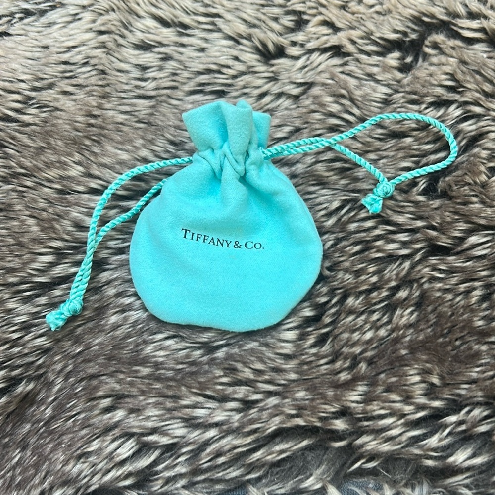 Tiffany & Co.‎ Blue Jewelry Pouch